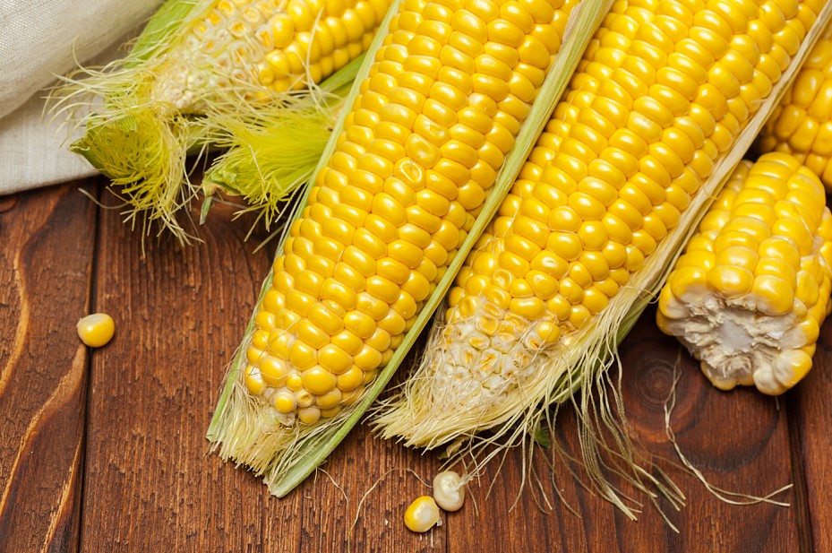 best corn exports in Pakistan